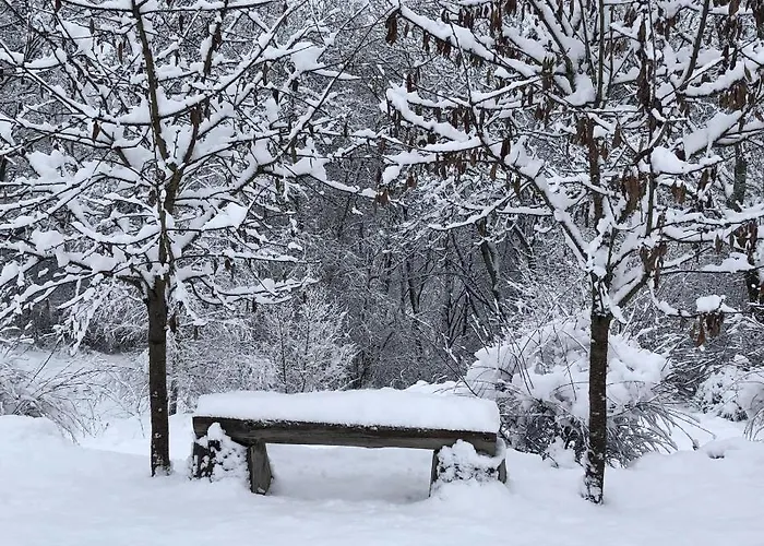 Schoener Maarblick Casa de Férias Schalkenmehren